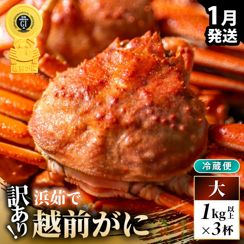 [先行予約][冷蔵]越前がに 訳あり 足折れ 大 1.0kg以上(茹で前)×3杯[2026年1月上旬以降順次発送予定]