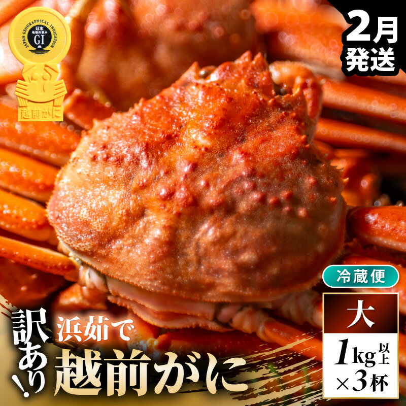 【ふるさと納税】【先行予約】【冷蔵】越前がに 訳あり 足折れ 大 1.0kg以上（茹で前）×3杯【2026年2月上旬以降順次発送予定】【訳アリ 越前がに 越前蟹 ずわいがに ズワイガニ かに カニ 期間限定 数量限定 プレミアム 贈答用 ギフト お歳暮 年末年始 】[m21-x008_02]
