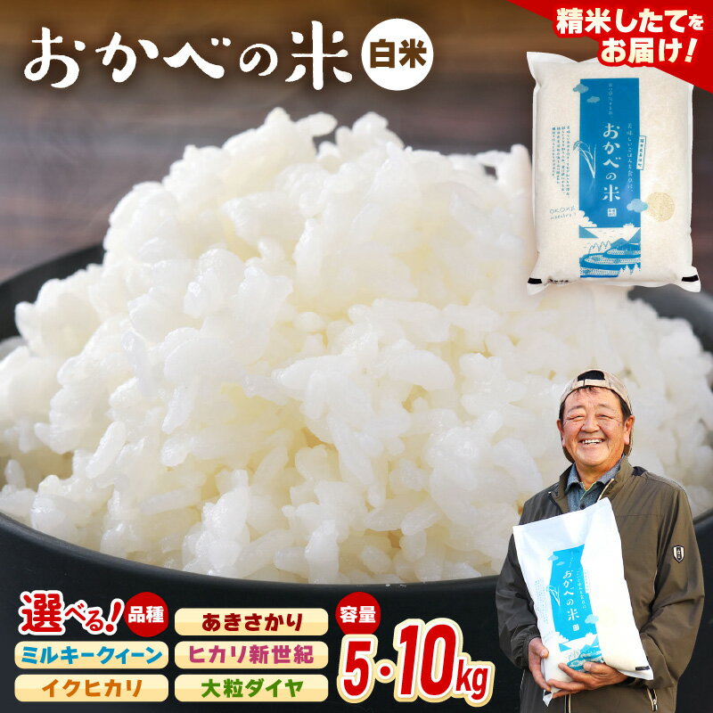 【ふるさと納税】令和6年産 愛情たっぷり 健やかに育った 白米【選べる銘柄：ミルキークィーン/イクヒカリ/あきさかり/ヒカリ新世紀/大粒ダイヤ】【選べる内容量：5kg/10kg】
