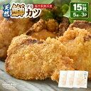 【ふるさと納税】天然!美浜町産「日向ぶり」 ぶりカツ 約450g(約150g × 3袋)【ブランド ぶり ブリ 鰤 海鮮 海産物 魚介類 ブリカツ カツレツ 人...