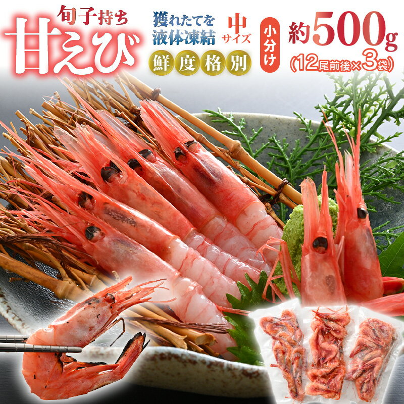 【ふるさと納税】旬子持ち甘えび 小分け 約500g【12尾前後 × 3袋】中サイズ 鮮度格別 獲れたてを液体凍結 えび エビ 海老 甘エビ 甘えび 甘海老 人気 海鮮 お刺身 魚介 海鮮丼 生食 お造り 無添加 冷凍 急速冷凍 福井県産