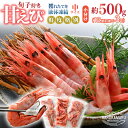 【ふるさと納税】旬子持ち甘えび 小分け 約500g【12尾前後 × 3袋】中サイズ 鮮度格別 獲れたてを液体凍結 えび エビ 海老 甘エビ 甘えび 甘海老 人気 海鮮 お刺身 魚介 海鮮丼 生食 お造り 無添加 冷凍 急速冷凍 福井県産