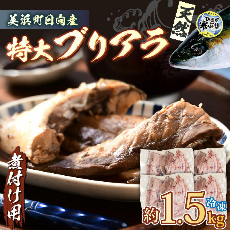 【ふるさと納税】天然 ぶり 特大 ブリアラ(煮付け用)合計 約1.5kg 美浜町日向産【ぶつ切り 切身 塩焼き 骨付き ブリ大根 煮物 アラ 鰤】