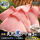 【ふるさと納税】【先行予約】天然!地物!ひるがの寒ぶり 柵3本【合計800g以上】【2025年12月中旬以降順次発送予定】【ブランド 寒ブリ 寒鰤 かんぶり ぶり ブリ 鰤 ブリトロ ぶりとろ 新鮮 生食 刺身 海鮮丼 ぶりしゃぶ 日向 福井 冬の味覚 海鮮 冷凍 プレゼント】
