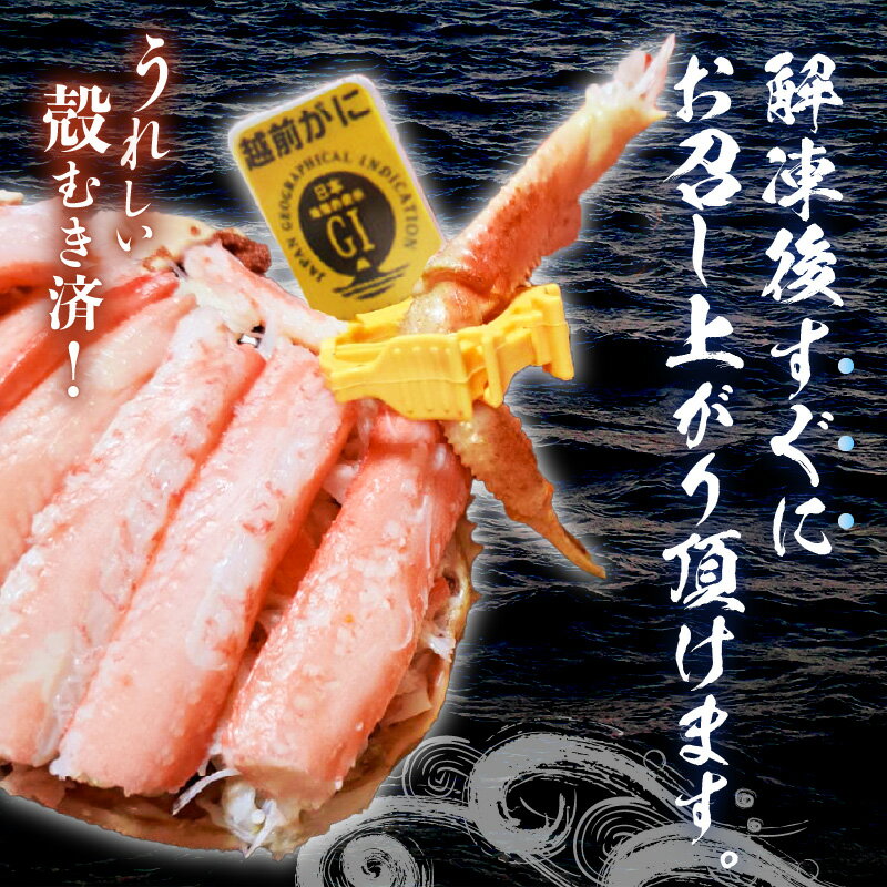 【ふるさと納税】せいこがに（越前がに） 甲羅盛り 計約220g (約110g × 2杯) 大サイズ【ズワイガニ 雌 越前がに せいこがに せいこ蟹 セイコガニ セコガニ せいこ かに 蟹 かにみそ むき身 個包装】
