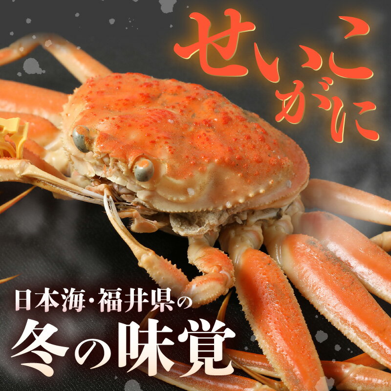 【ふるさと納税】せいこがに（越前がに） 甲羅盛り 計約220g (約110g × 2杯) 大サイズ【ズワイガニ 雌 越前がに せいこがに せいこ蟹 セイコガニ セコガニ せいこ かに 蟹 かにみそ むき身 個包装】