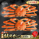 【ふるさと納税】【先行予約】≪浜茹で≫ 地物!天然!はるか丸厳選!越前がに 約400g × 2杯【2025年11月中旬以降順次発送予定】獲れたて!茹でたてをお届けします!