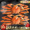 【ふるさと納税】【先行予約】≪浜茹で≫ 地物!天然!はるか丸厳選!”訳あり”越前がに 約400g × 2杯【2025年12月上旬以降順次発送予定】