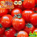 11位! 口コミ数「454件」評価「4.57」じゅわっと極旨のフルーツミディトマト (バラ箱詰め)【選べる容量/回数】 【 とまと トマト フルーツトマト ミニトマト トマトジュース 野菜 やさい 人気 新鮮 産地直送 甘い 高糖度 完熟 食べや・・・