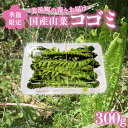 【ふるさと納税】【先行予約】【季節限定】国産山菜 コゴミ 美浜町の春をお届け【2026年4月上旬以降順次発送予定】【こごみ 山菜 クサソテツ 旬 旬菜】