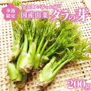 【ふるさと納税】【先行予約】【季節限定】国産山菜 タラの芽 美浜町の春をお届け【2026年4月上旬以降順次発送予定】【旬 山菜 野菜 たらの芽 天ぷら 春野菜】