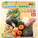 【ふるさと納税】旬のおまかせ 「若狭みはま」の新鮮野菜セット 8種以上+特産品1品 【選べるお届け回数:1回/3回/6回/9回/12回】【ふるさと納税 春野菜 夏野菜 秋野菜 冬野菜 定期便 定期 やさい 野菜 セット 詰合せ 大容量 産地直送 旬 新鮮 採れたて おススメ 人気 】