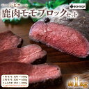 【ふるさと納税】ジビエ 鹿肉 モモ ブロック セット 約1.0kg【低カロリー 高たんぱく 低脂質 添加物不使用 肉 お肉 鹿 シカ ダイエット シカ肉 冷凍 ...