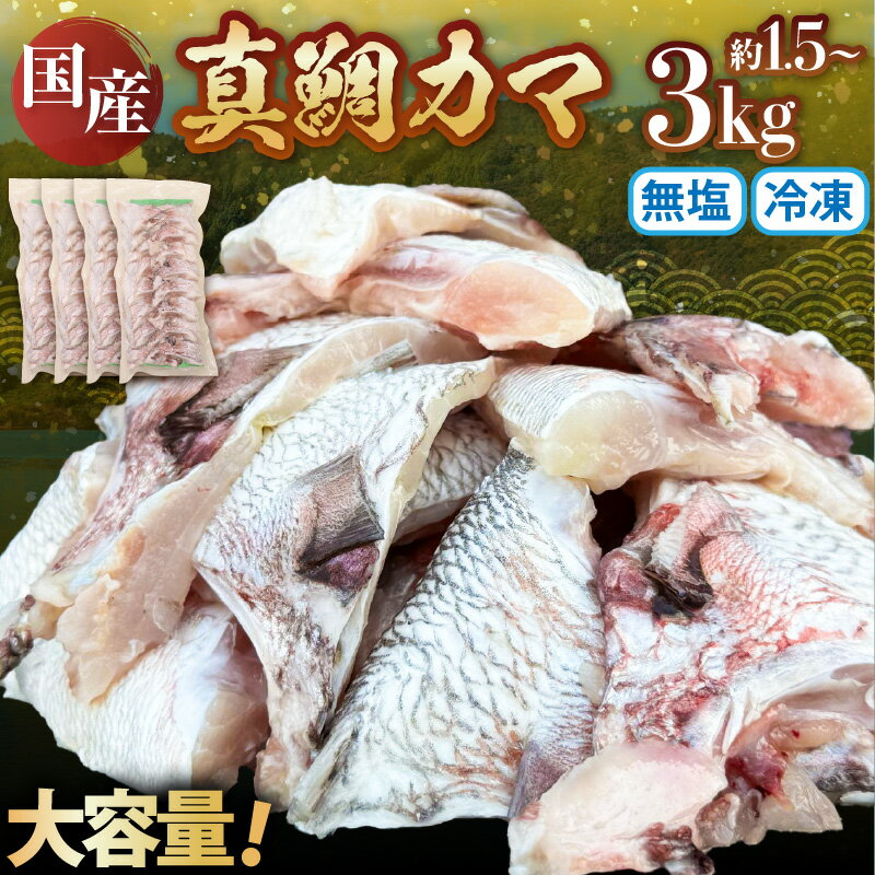 【ふるさと納税】国産 真鯛カマ 大容量 無塩 冷凍 【選べる容量： 約1.5kg / 約3kg 】 【鯛 タイ たい マダイ 塩焼き 焼き魚 鯛めし 煮付け 朝食 魚介類 真空パック】