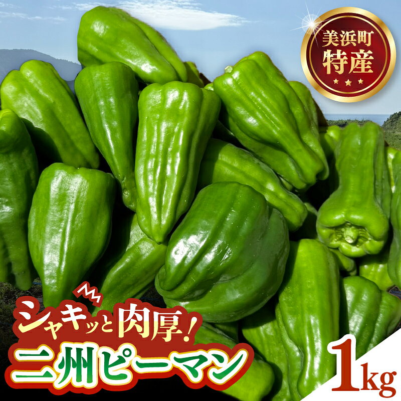 シャキッと肉厚！美浜町特産 二州ピーマン 1kg 新鮮 ピーマン 野菜 国産野菜 産地直送