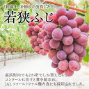 福井県高浜町の画像3