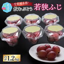【ふるさと納税】【先行予約】【数量限定】受賞歴多数!飲むぶどう 若狭ふじ 約200g×6個(約1.2kg)【ご自宅用】 ≪2025年8月中旬より順次発送≫| 訳...