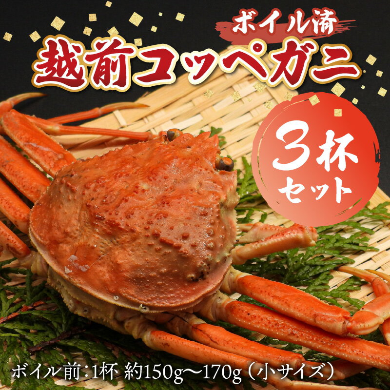 福井県高浜町の画像2