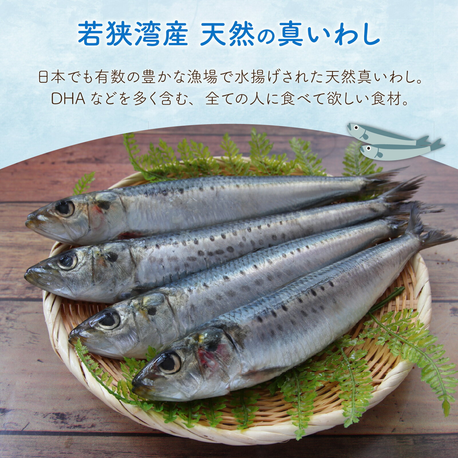 福井県高浜町の画像2