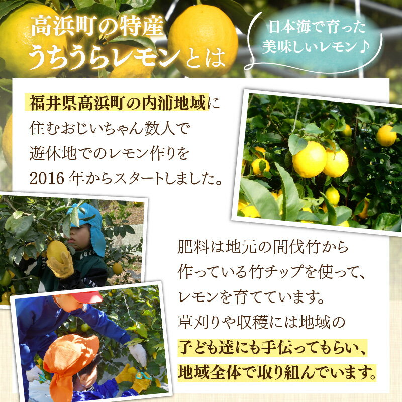 福井県高浜町の画像3