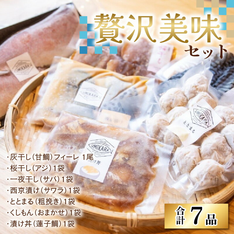 【ふるさと納税】【旬の海の幸を厳選】贅沢美味7品セット｜灰干し 桜干 し一夜干し 串 漬け丼 ギフト 贈り物 贈答 お中元 お歳暮 年始 送料無料 [B-022005]