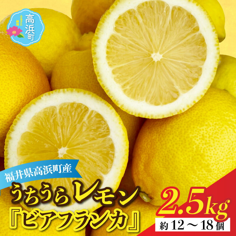 【先行予約】日本海で育ったうちうらレモン「ビアフランカ2.5kg」皮まで丸ごと食べられます！【1月初旬より順次発送】 [A-022036]|ビタミン 鮮度 健康 果汁 防腐剤 不使用 レモン ノーワックス 良品 フルーツ 果物 くだもの 期間限定 数量限定 送料無料