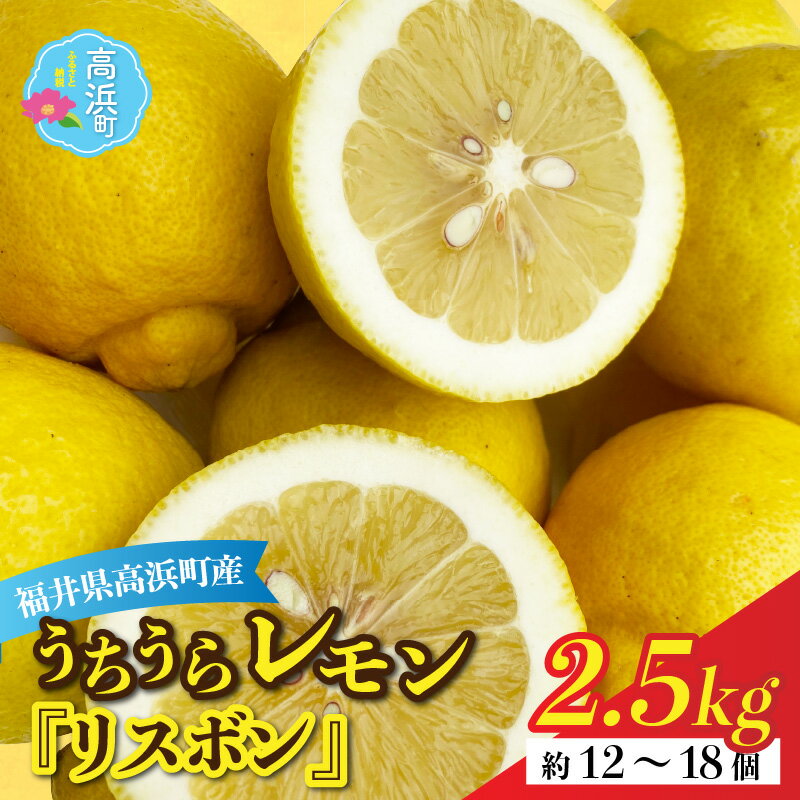 【先行予約】日本海で育ったうちうらレモン「リスボン2.5kg」皮まで丸ごと食べられます！（農薬不使用）【12月下旬より順次発送】 [A-022037]ビタミン 鮮度 健康 果汁 防腐剤 不使用 レモン ノーワックス フルーツ 果物 くだもの 期間限定 数量限定 送料無料