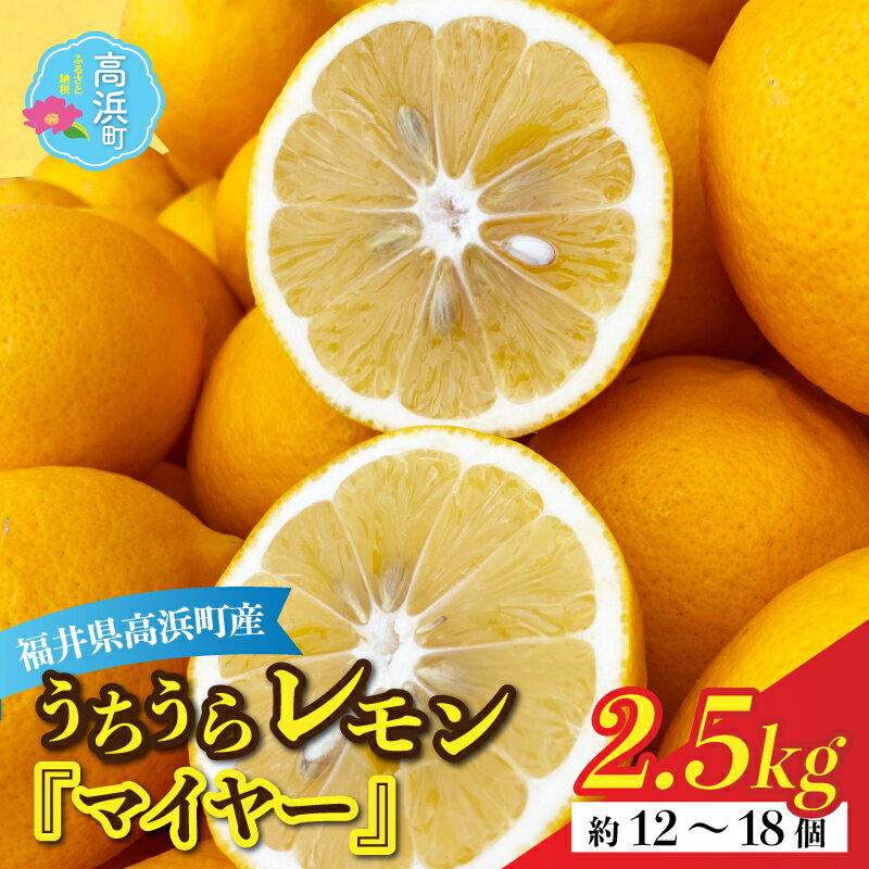 【先行予約】日本海で育ったうちうらレモン「マイヤー2.5kg」皮まで丸ごと食べられます！（農薬不使用）【11月中旬より順次発送】 [A-022038]ビタミン 鮮度 健康 果汁 防腐剤 不使用 レモン ノーワックス フルーツ 果物 くだもの 期間限定 数量限定 送料無料