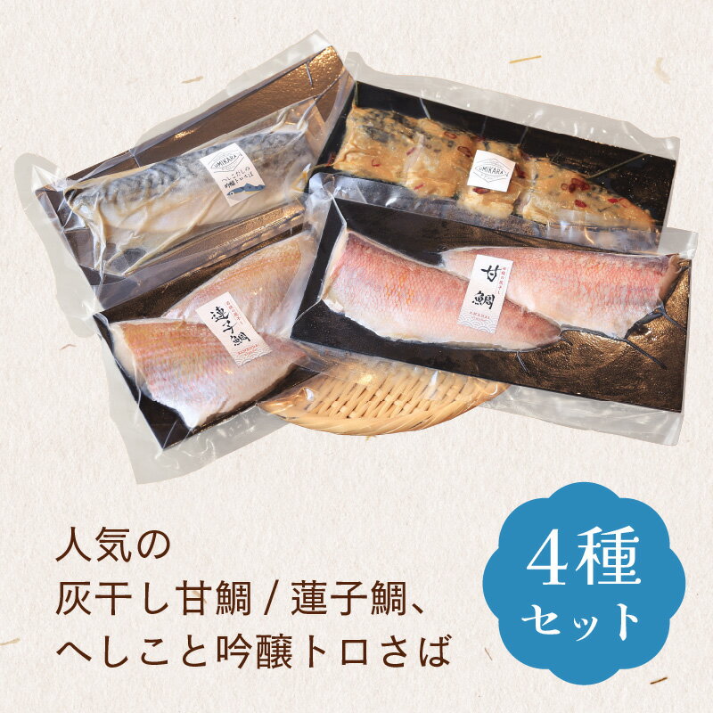 【ふるさと納税】食べやすい！フィーレのお魚セット【急速冷凍】（プロトン凍結） [B-022004]|干物 詰め合わせ ギフト 海 セット 魚 冷凍 プロトン冷凍 凍結 小分け ご飯のお供 おつまみ お中元 お歳暮 お弁当 酒の肴 保存食 おかず 魚介類 送料無料