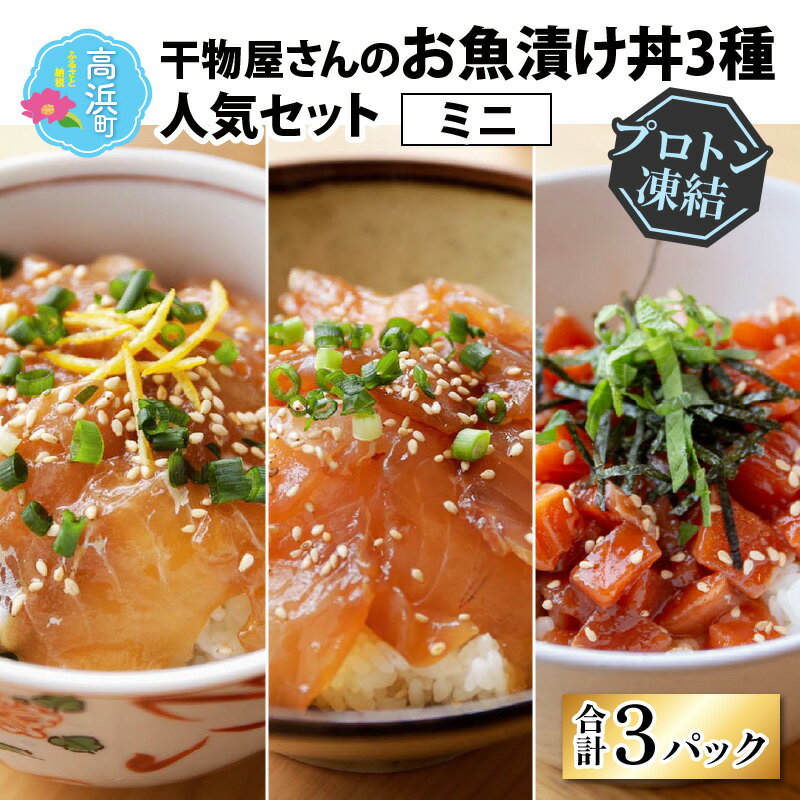 【ふるさと納税】干物屋さんの漬け丼 人気セットミニ【急速冷凍