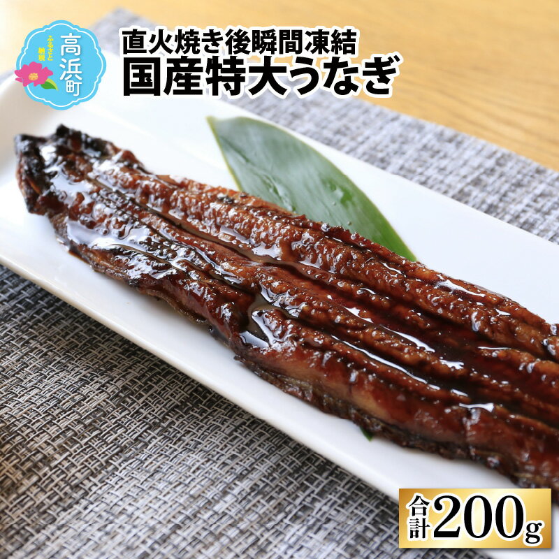 国産特大うなぎ 直火焼き後瞬間凍結 秘伝のタレ付き[急速冷凍](プロトン凍結) [A-022032]|詰め合わせ ギフト 海 セット 魚 冷凍 プロトン冷凍 凍結 小分け ご飯のお供 おつまみ お中元 お歳暮 お弁当 酒の肴 保存食 おかず 魚介類 送料無料