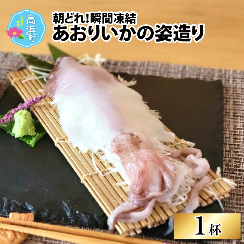 朝どれ!あおりいかの姿造り・瞬間凍結[急速冷凍](プロトン凍結) [A-022033]|詰め合わせ お中元 ギフト 海 父の日 セット 魚 冷凍 プロトン冷凍 凍結 小分け ご飯のお供 おつまみ お歳暮 お弁当 酒の肴 保存食 おかず 魚介類 送料無料
