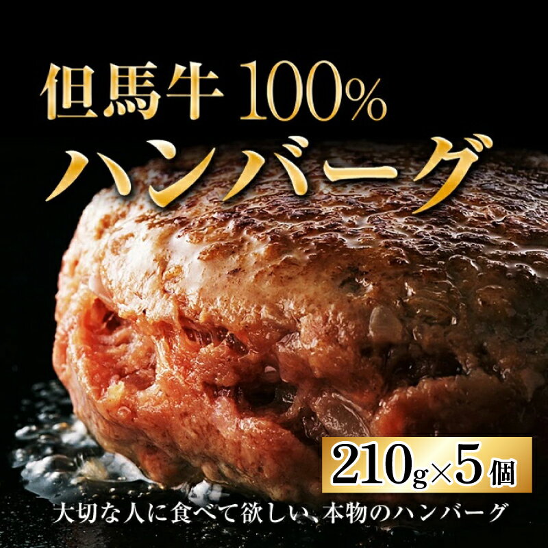 【ふるさと納税】大切な人に食べてほしい但馬牛100％ ミート・マイチク ハンバーグ 5個セット 計1,050g|クリスマス 牛肉100% 神戸牛 分厚いハンバーグ 送料無料[A-017005]