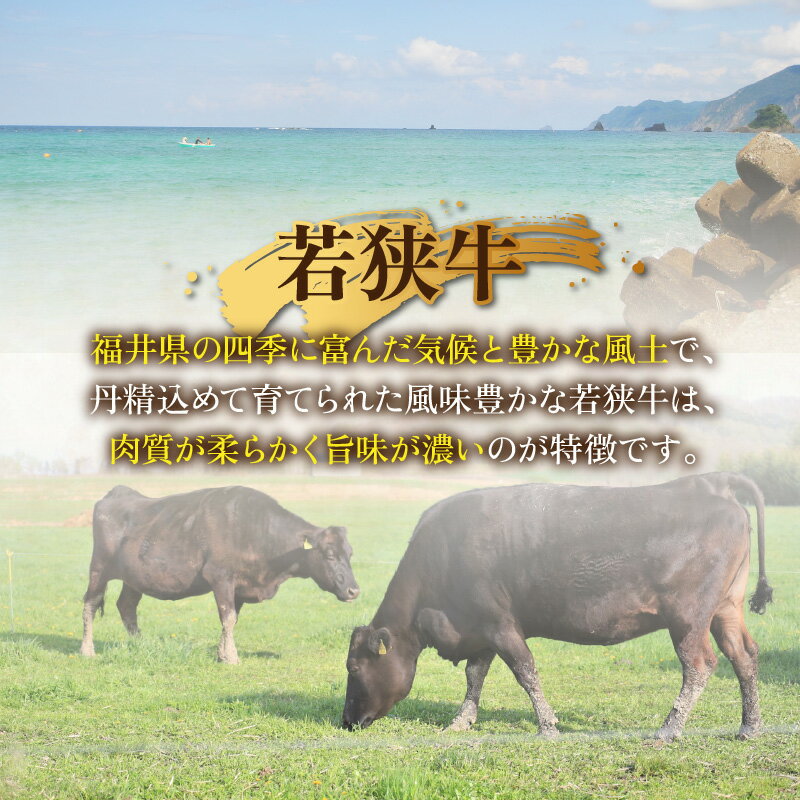 【ふるさと納税】【福井県産 若狭牛】霜降 バラ 焼肉用 660g｜国産 牛肉 若狭牛 バラ肉 赤身 父の日 霜降り 焼き肉 冷凍 配送 家庭用 家族向け お取り寄せ 送料無料 [B-017003]