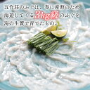 福井県高浜町の画像3