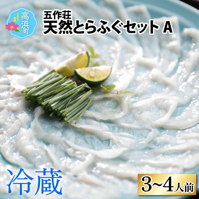 1位! 口コミ数「1件」評価「4」【福井県産 天然とらふぐ】五作荘 天然とらふぐセットA 3～4人前｜ふぐ てっさ てっちり ふぐ刺し ふぐ鍋 福の子 刺身 低カロリー ギフ･･･ 