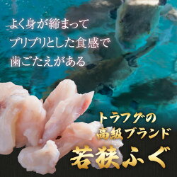 【ふるさと納税】【福井県産 若狭とらふぐ】【冷凍】若狭とらふぐ鍋セットC（2～3人前）｜ふぐ てっちり ふぐ鍋 ふぐあら 冷凍 国産 福井県 ブランド 低カロリー 旬 ギフト 贈り物 年末年始 お歳暮 豪華 贅沢 高級 送料無料 [B-007001]･･･ 画像2