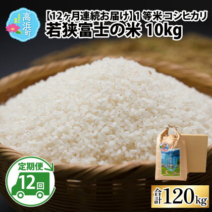 【令和5年産】【12ヶ月連続定期便】一等米コシヒカリ 若狭富士の米 10kg｜お米 精米 白米 コシヒカリ こしひかり 最高等級 定期便 [M-012001]