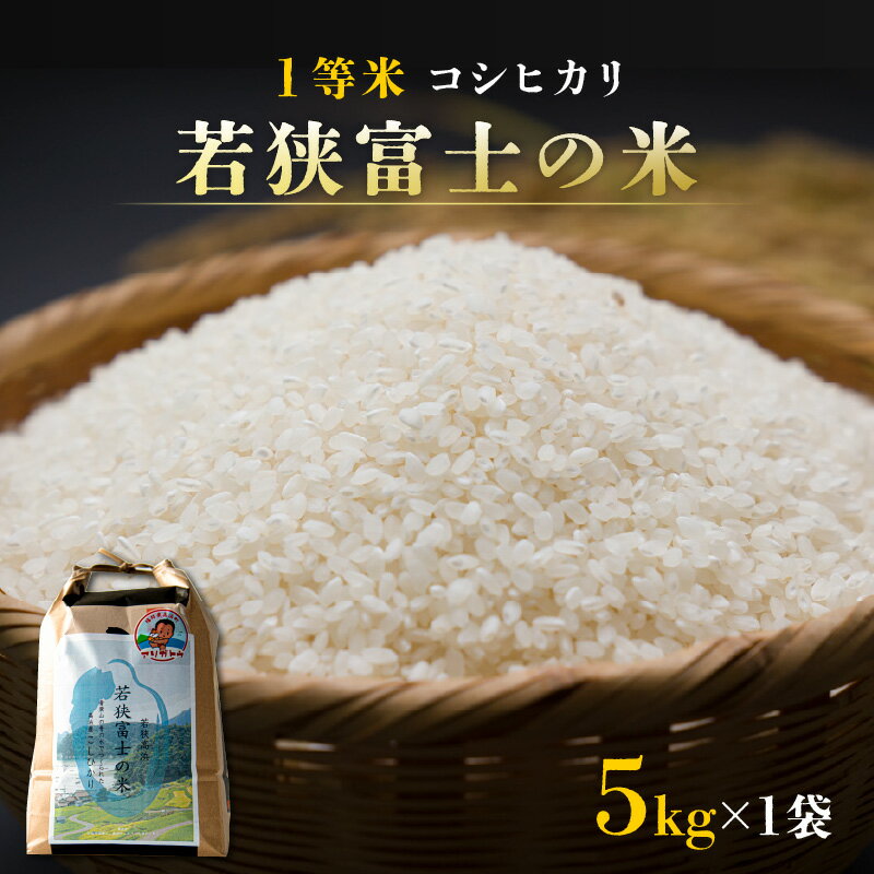 【ふるさと納税】【令和5年産】一等米コシヒカリ 若狭富士の米 5kg｜お米 精米 白米 コシヒカリ こしひかり 最高等級[A-012002]