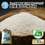 【ふるさと納税】【令和5年産】【6ヶ月連続定期便】一等米コシヒカリ 若狭富士の米 5kg×6回 計30kg｜お米 精米 白米 コシヒカリ こしひかり 最高等級 [D-012002]