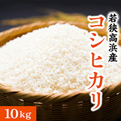 [令和5年産]若狭高浜産 コシヒカリ 精米 10kg エコファーマー認定農家栽培 [A-010001] | お米 コシヒカリ 10kg 精米 白米 ご飯 ごはん 単一原料米 エコファーマー 食品 美味しい 送料無料