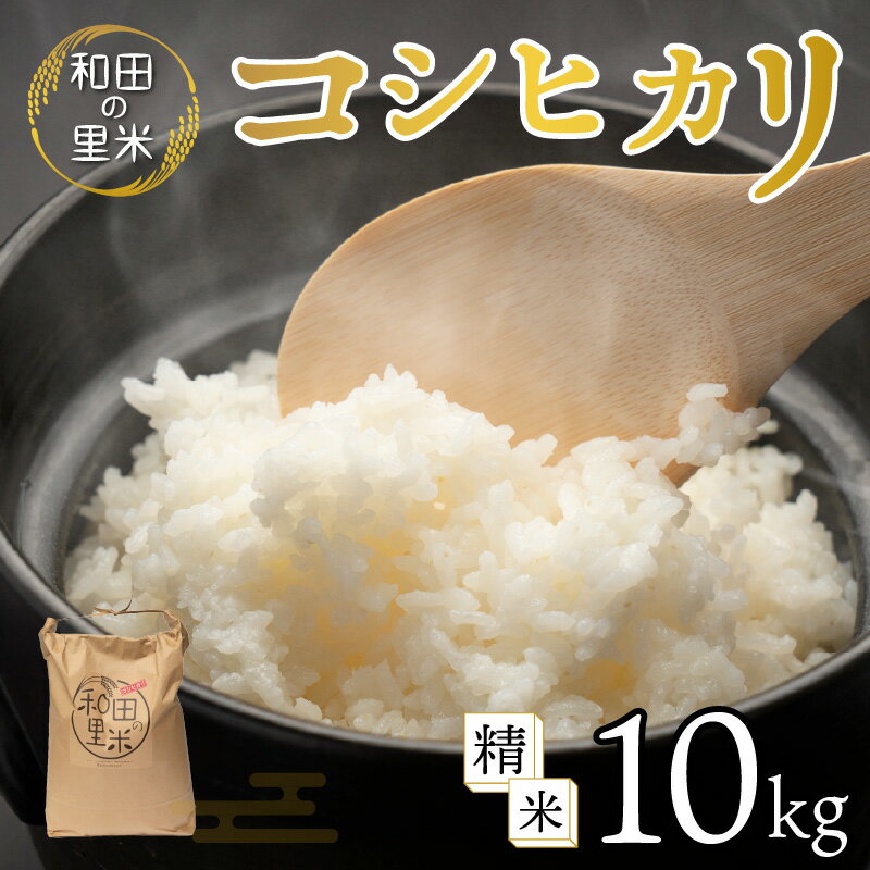 【ふるさと納税】【令和7年産】先行予約 和田の里米 コシヒカリ 精米 10kg |ふるさと納税 米 福井県 高浜町 お米 発祥の地 こめ おこめ 白米 精米 ごはん ご飯 白飯 あまみ ふるさと 人気 おすすめ 送料無料 産地直送 農家直送 国産米　[A-011001]