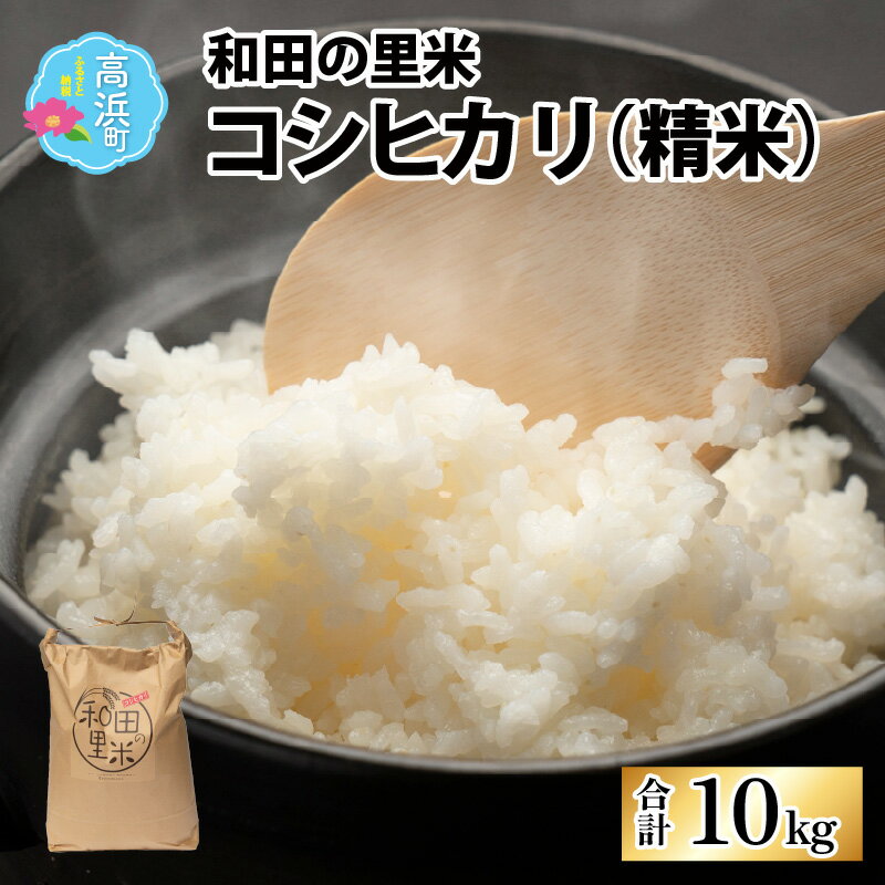 [令和5年産]和田の里米 コシヒカリ 精米 10kg |お米 こしひかり 白米 精米 おこめ ご飯 ごはん お取り寄せ 10kg おうちごはん 美味しい 食品 単一原料米 送料無料[A-011001]