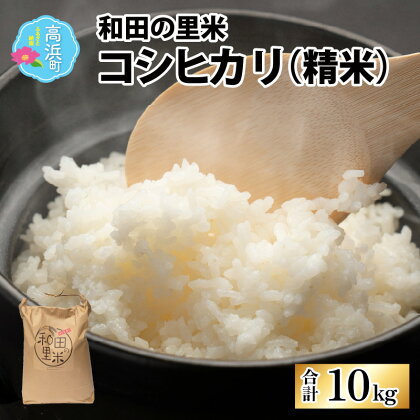 【令和5年産】和田の里米 コシヒカリ 精米 10kg |お米 こしひかり 白米 精米 おこめ ご飯 ごはん お取り寄せ 10kg おうちごはん 美味しい 食品 単一原料米 送料無料[A-011001]