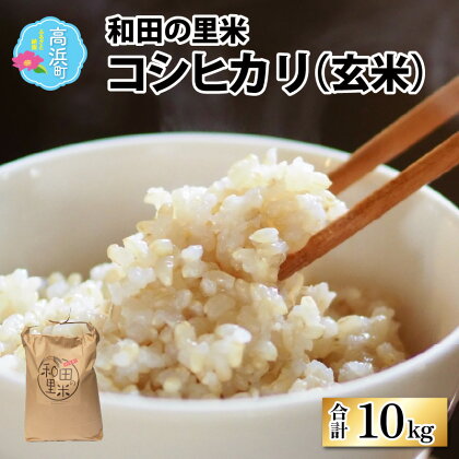 【令和5年産】和田の里米 コシヒカリ 玄米 10kg| お米 こしひかり 玄米 おこめ ご飯 ごはん お取り寄せ 10kg おうちごはん 美味しい 食品 単一原料米 送料無料 [A-011002]