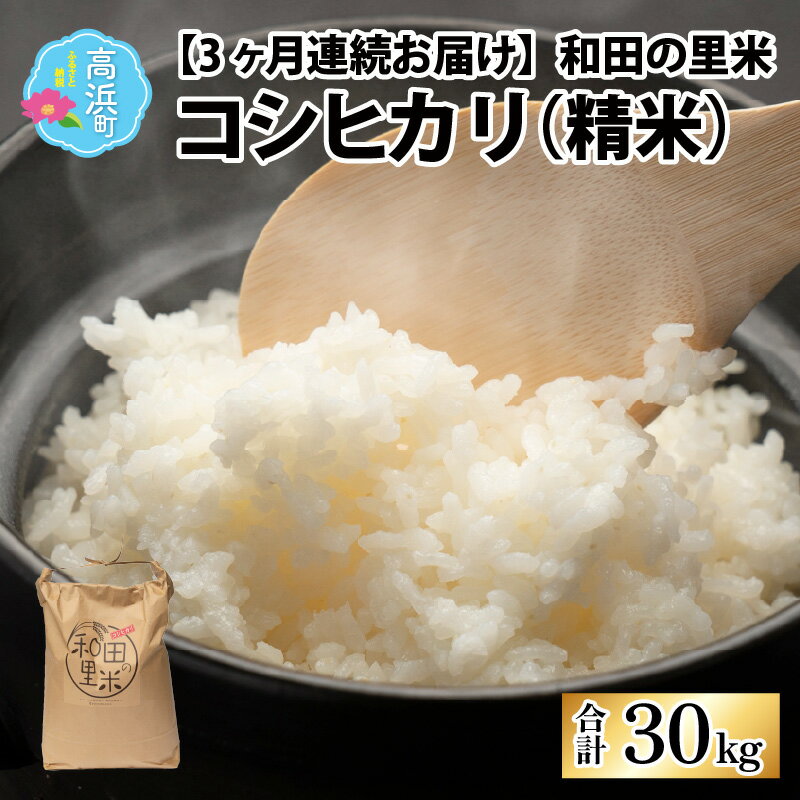 [令和5年産][3ヶ月定期便]和田の里米 コシヒカリ 白米(精米) 10kg×3回 計30kg|定期便 お米 こしひかり 白米 精米 おこめ ご飯 お取り寄せ 30kg 美味しい おうちごはん 食品 単一原料米 送料無料[C-011001]