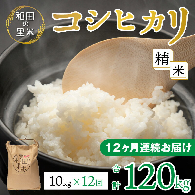 【ふるさと納税】【令和5年産】【12ヶ月定期便】和田の里米 コシヒカリ 白米(精米) 10kg×12回 計120kg｜定期便 お米 こしひかり 白米 精米 おこめ ご飯 お取り寄せ 120kg 美味しい おうちごはん 食品 単一原料米 送料無料 [L-011001]