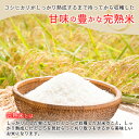 福井県高浜町の画像3