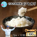 【ふるさと納税】【先行予約】【令和7年産 新米】【12ヶ月定期便】くらもち完熟米 コシヒカリ 白米5kg×12回 計60kg ふるさと納税 毎月 小分け 米 白...