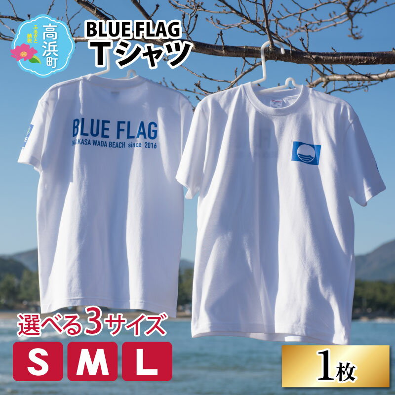 メンズファッション人気ランク31位　口コミ数「0件」評価「0」「【ふるさと納税】BLUE FLAG Tシャツ｜ファッション 衣類 服 おしゃれ [A-016001]」